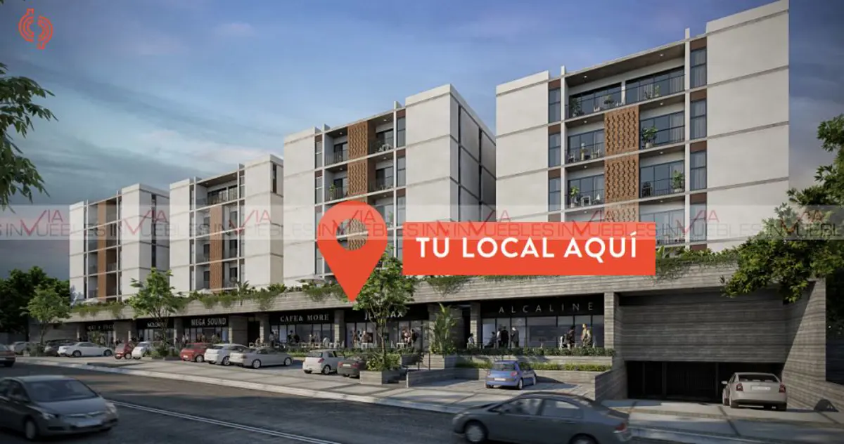 Locales zona Cumbres Locales zona Cumbres