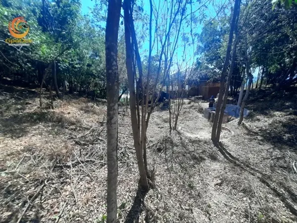 Terreno en venta en Mazunte, Santa María Tonameca — foto 3 de 12