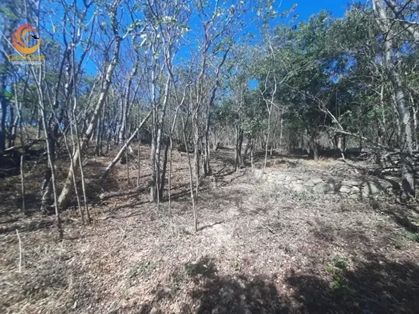 Terreno en venta en Mazunte, Santa María Tonameca — foto 2 de 12