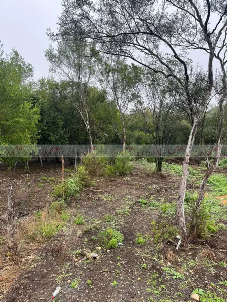 Terreno en venta en El Fraile, Montemorelos — foto 3 de 8