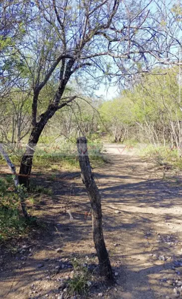 Terreno en venta en Ciudad Cerralvo, Cerralvo — foto 3 de 11