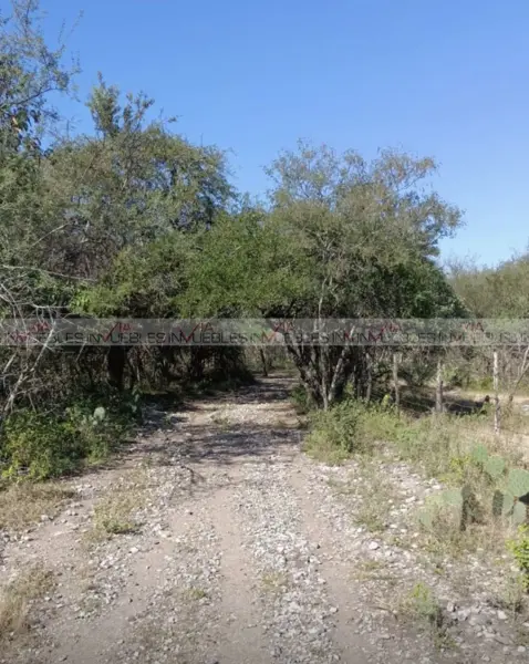 Terreno en venta en Ciudad Cerralvo, Cerralvo — foto 2 de 11