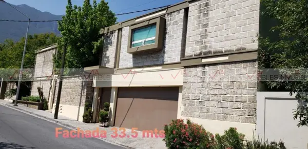 Palo Blanco