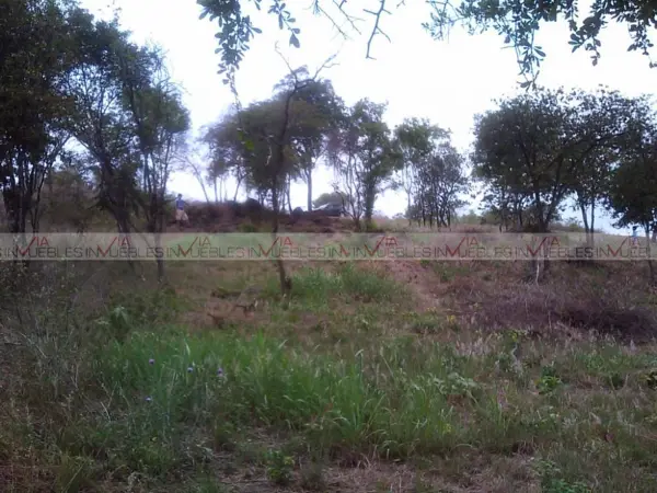 Terreno en venta en Los Guzman, Allende — foto 3 de 11