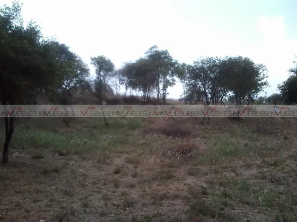 Terreno en venta en Los Guzman, Allende — foto 2 de 11