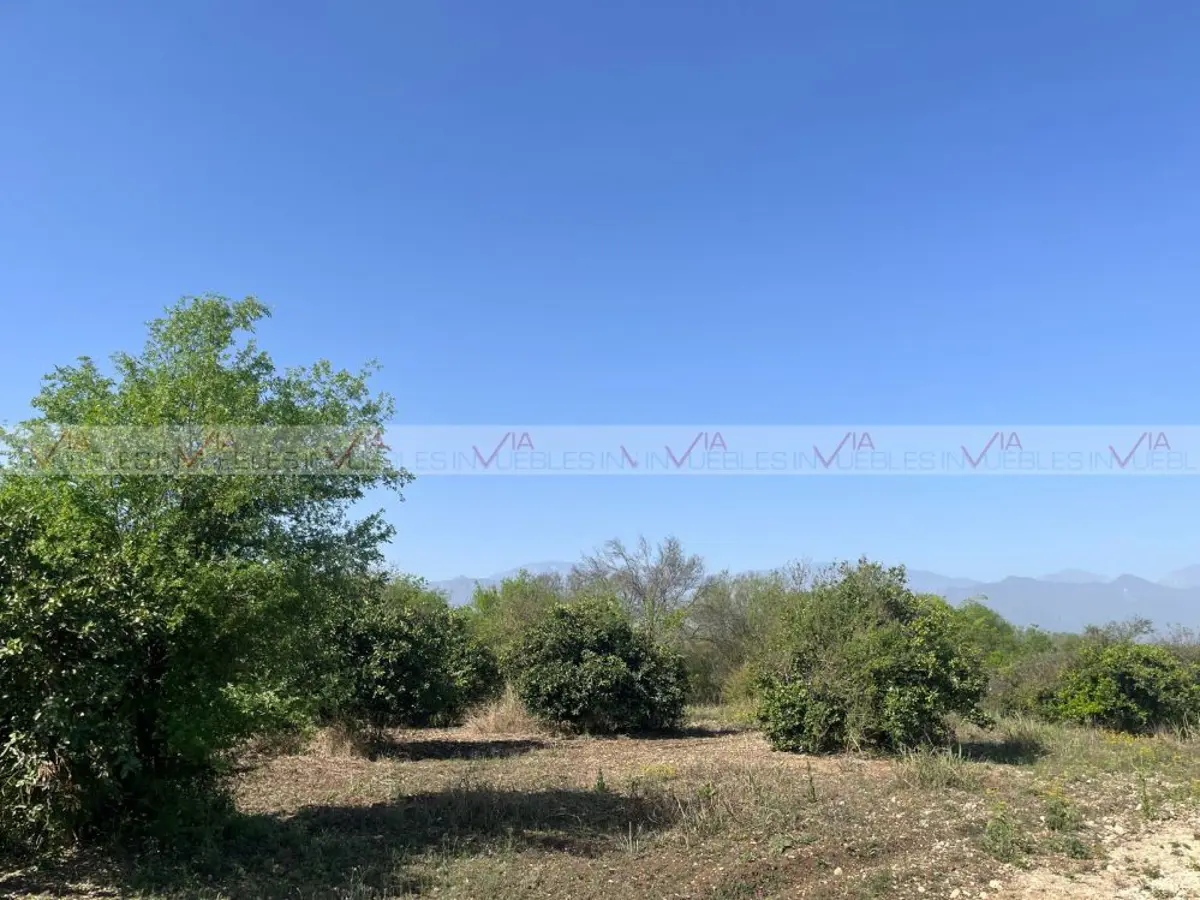 Terreno en venta en Congregación Calles, Montemorelos — foto 1 de 8