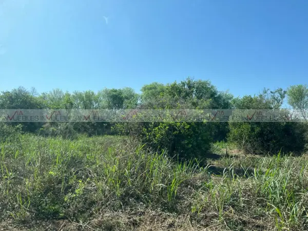 Terreno en venta en Congregación Calles, Montemorelos — foto 3 de 8