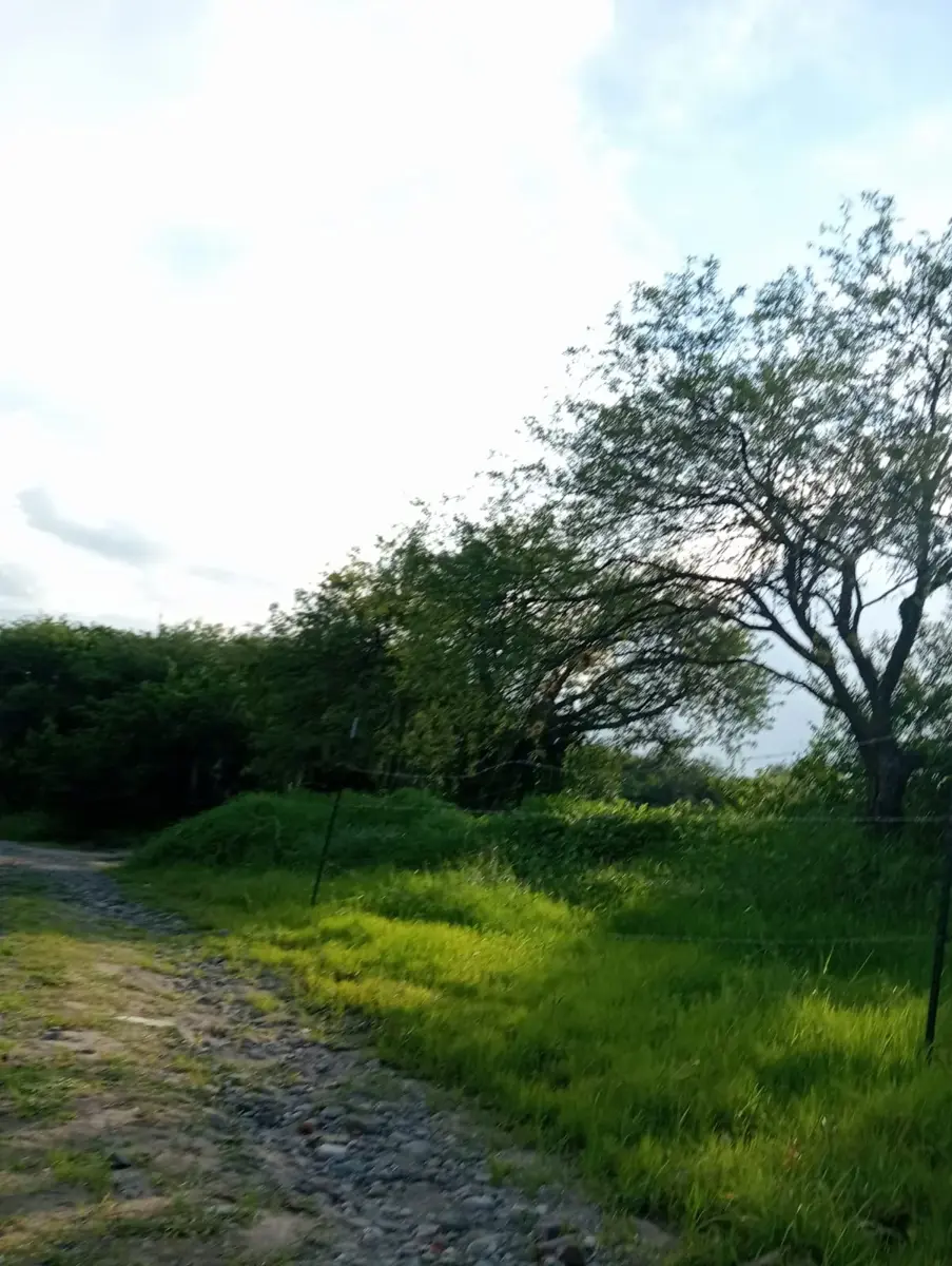 Terreno en venta en Bordo Blanco, Tequisquiapan — foto 1 de 6