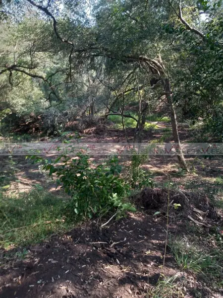 Terreno en venta en Canoas, Montemorelos — foto 3 de 9