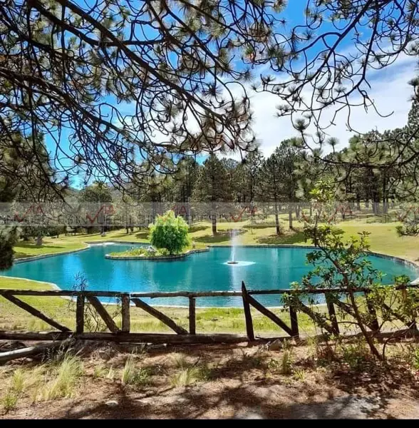 Terreno en venta en Mesa de las Tablas, Arteaga — foto 2 de 9