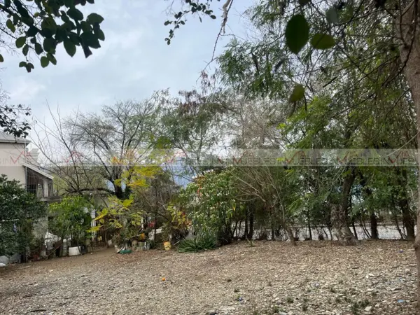 Terreno en renta en Sección los Álamos, Allende — foto 3 de 8
