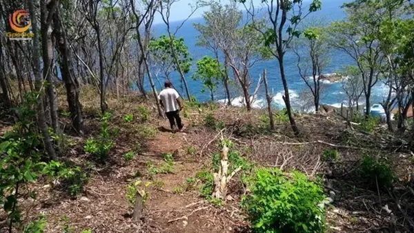 Terreno en venta en Barra de Cuatunalco, San Pedro Pochutla — foto 3 de 12