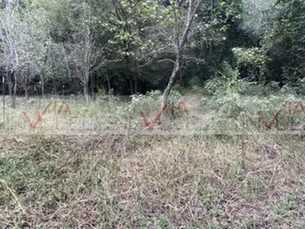 Terreno en venta en La Boquilla (Las Boquillas), Allende — foto 2 de 9