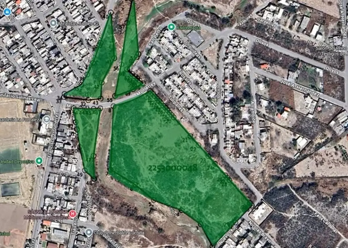 Terreno en venta en Los Lirios, Ciénega de Flores — foto 1 de 3