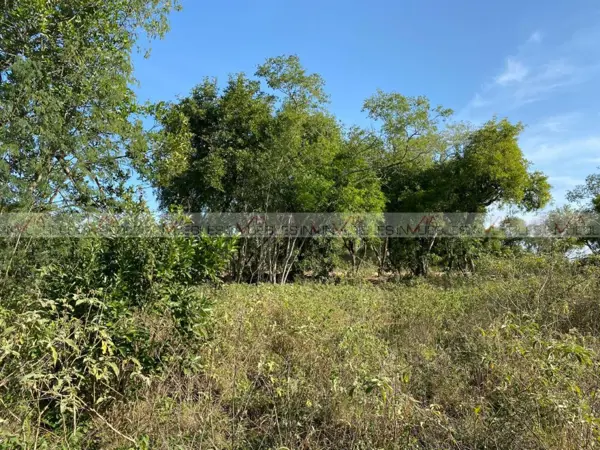 Terreno en venta en El Pastor, Montemorelos — foto 2 de 8