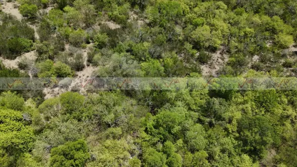 Terreno en venta en General Escobedo, Montemorelos — foto 3 de 9