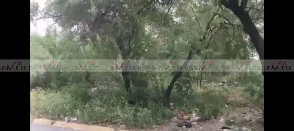 Terreno en venta en Garza y Garza, Juárez — foto 3 de 13