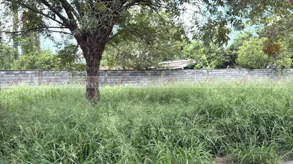 Terreno en renta en Ciudad de Allende Centro, Allende — foto 3 de 12