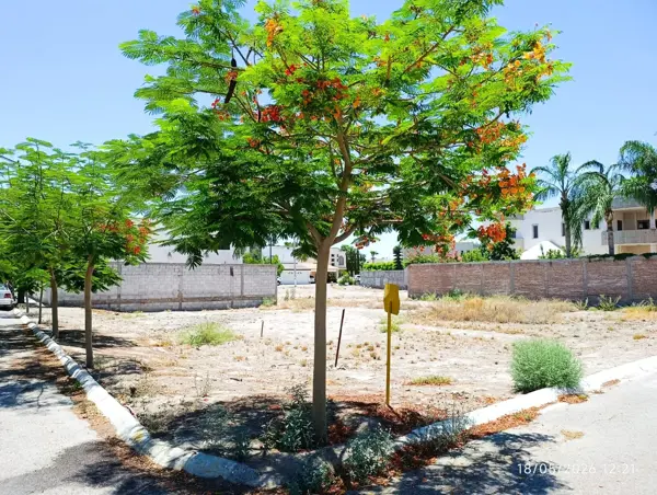 Terreno en venta en Las Quintas, Torreón — foto 3 de 8