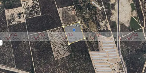 Terreno en venta en Centro de Pesquería, Pesquería — foto 2 de 10