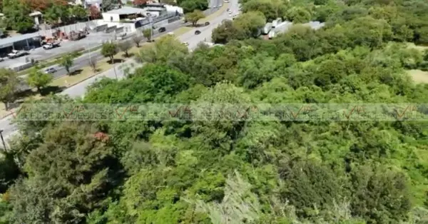 El Alamo