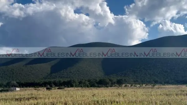 Terreno en venta en Santa Clara de Ciénega del Toro, Galeana — foto 2 de 8