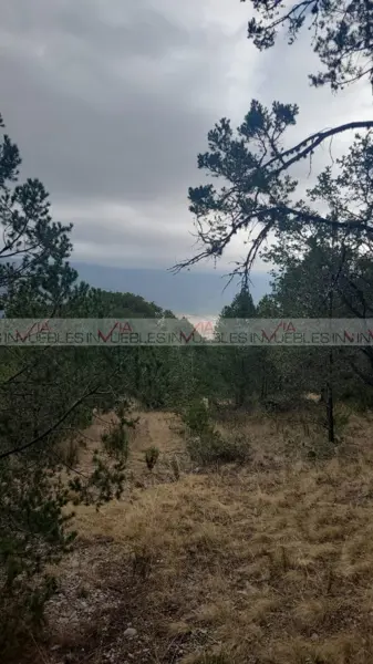 Terreno en venta en Santa Clara de Ciénega del Toro, Galeana — foto 3 de 8