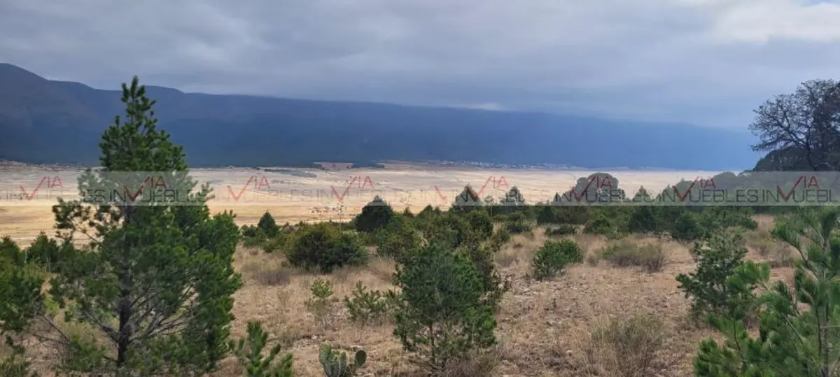 Terreno en venta en Santa Clara de Ciénega del Toro, Galeana — foto 1 de 8