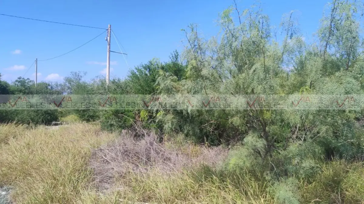 Terreno en venta en Parque Industrial Las Américas, Ciénega de Flores — foto 1 de 8