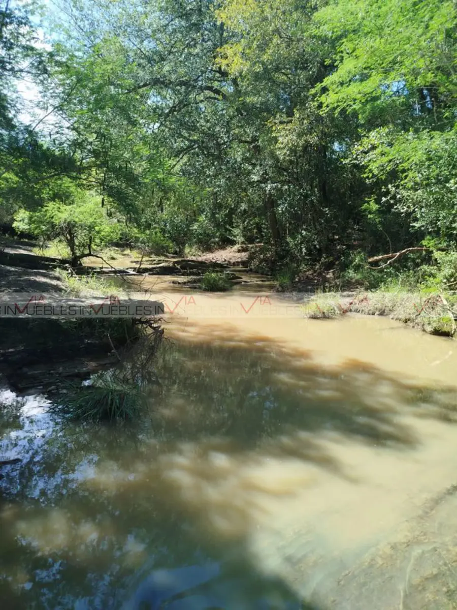 El Yerbaniz, Montemorelos El Yerbaniz, Montemorelos
