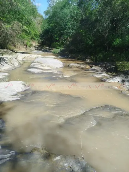 Terreno en venta en El Toro, Montemorelos — foto 3 de 12