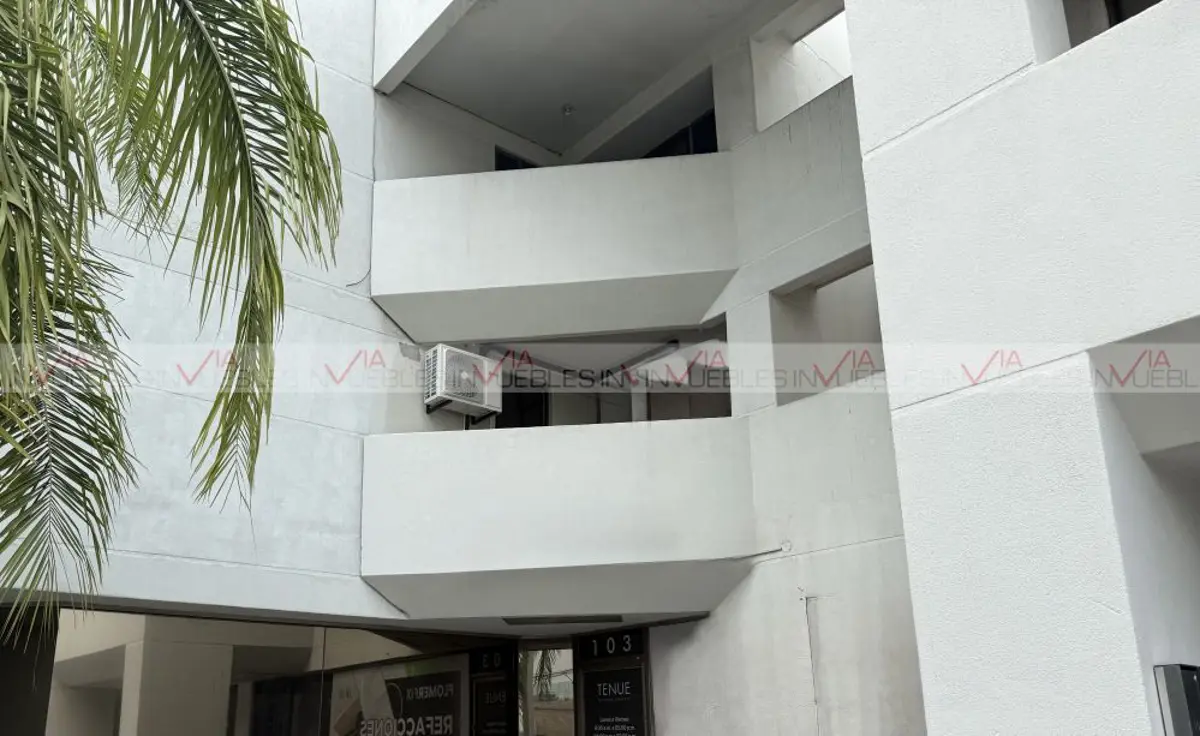 Vasconcelos Vasconcelos