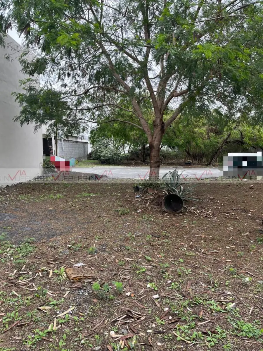 Terreno en venta en Vista de Allende, Allende — foto 1 de 8