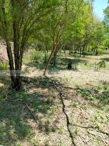 Terreno en venta en Hacienda el Mezcal, Cadereyta Jiménez — foto 2 de 8