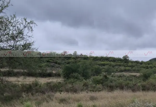 Terreno en venta en Chihuahua, Montemorelos — foto 3 de 11