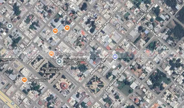 Terreno en renta en Independencia, Allende — foto 3 de 8