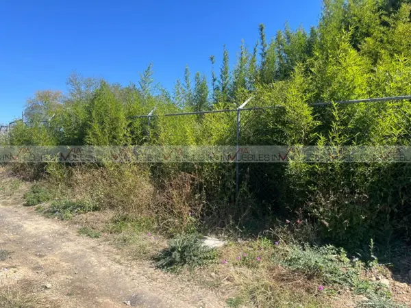 Terreno en venta en Congregación Calles, Montemorelos — foto 3 de 8