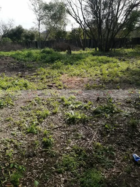 Terreno en venta en Los Guzman, Allende — foto 2 de 10