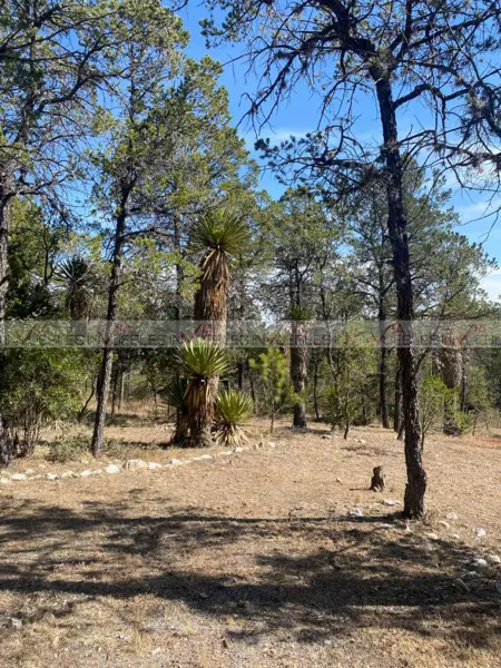 Casa en venta en Huachichil (El Huache), Arteaga — foto 2 de 8