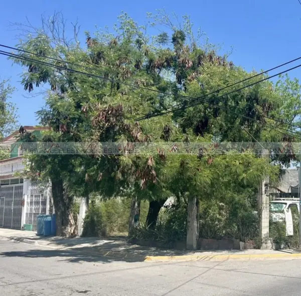 Terreno en renta en Matamoros, Montemorelos — foto 3 de 8