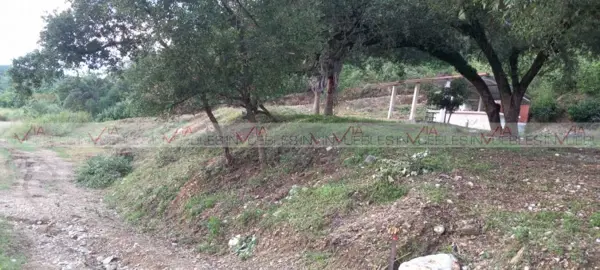 Terreno en venta en Montemorelos Centro, Montemorelos — foto 3 de 8