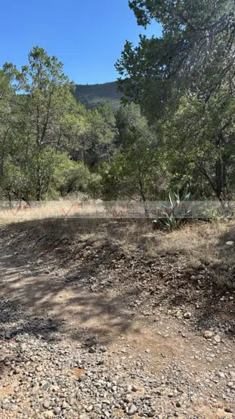Terreno en venta en Guadalupe, Arteaga — foto 2 de 12