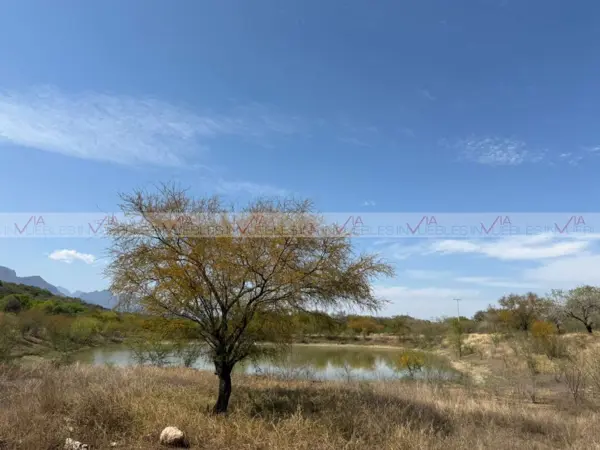 Terreno en venta en Los Sabinos, Montemorelos — foto 3 de 8