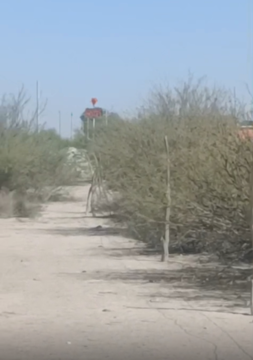 Terreno en venta en El Vergel, Gómez Palacio — foto 1 de 3