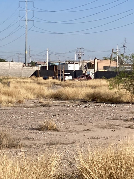 Terreno en venta en Miravalle, Gómez Palacio — foto 3 de 9