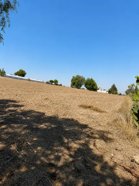Terreno en venta en San Pedro Tlaquilpan, Zempoala — foto 3 de 3