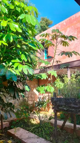 Casa en venta en Temozon Norte, Mérida — foto 2 de 20