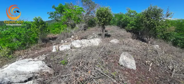 Terreno en venta en Playa Zipolite, San Pedro Pochutla — foto 3 de 11