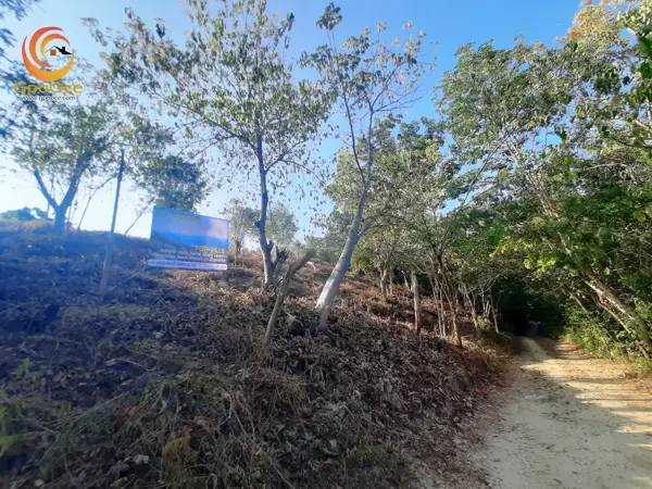 Terreno en venta en Playa Zipolite, San Pedro Pochutla — foto 2 de 11