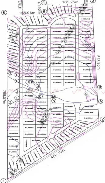Terreno en venta en Las Bugambilias, Linares — foto 2 de 11
